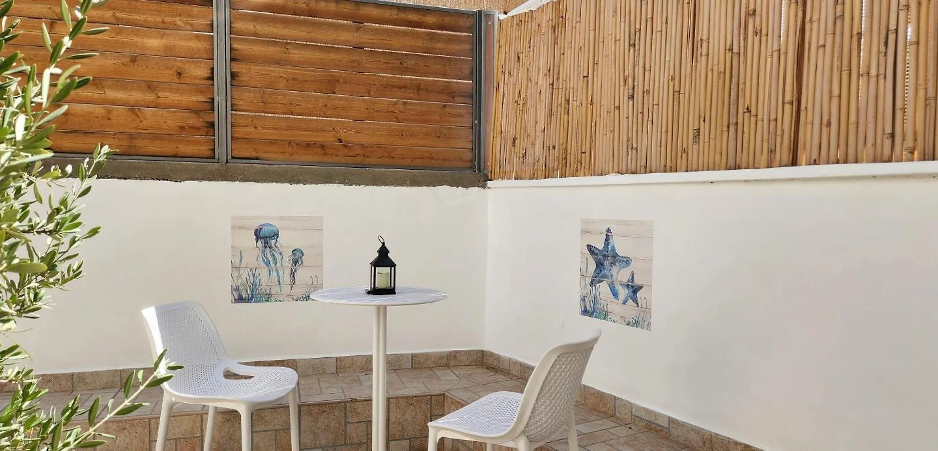 הקונכייה Apartment Eilat Israel